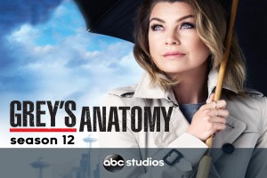 فصل دوازدهم سریال گریز آناتومی Grey's Anatomy